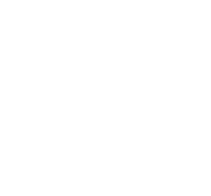 Bold Construction